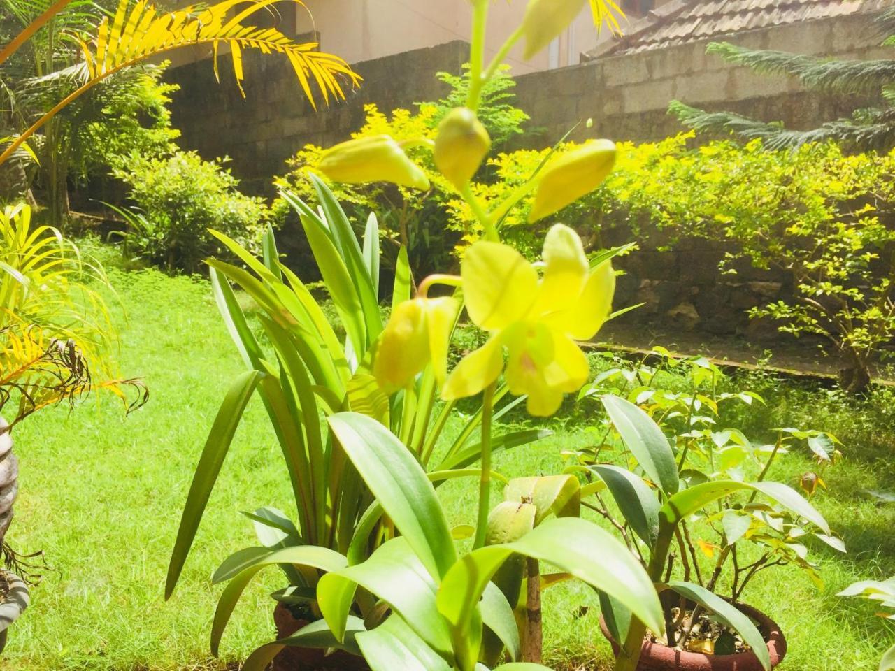 Ganesh House Homestay Kovalam Exteriör bild